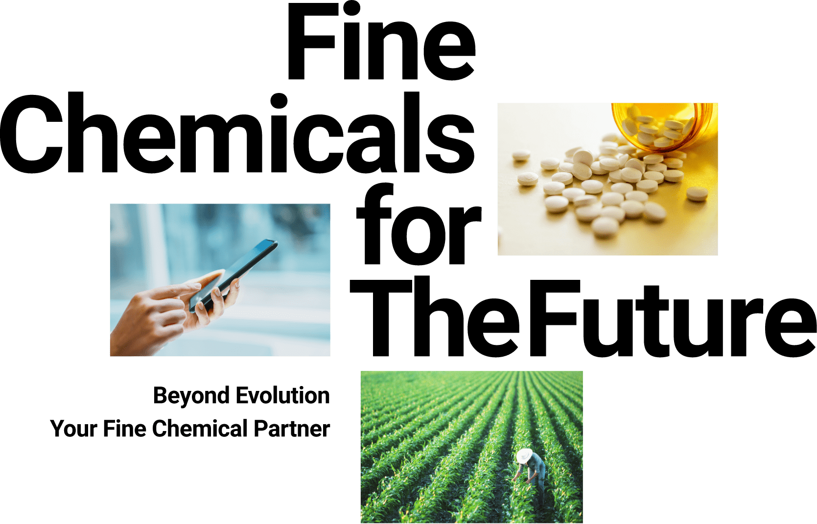 Fine Chemicals for The Future | Beyond Evolution Your Fine Chemical Partner