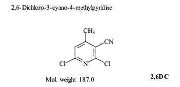 2,6-Dichloro-3-cyano-4-methylpyridine (2,6DC)